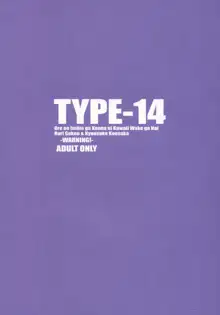 TYPE-14, 日本語