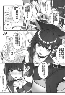 Shuredinga kuroneko to 2 | 与薛定谔的黑猫一起2, 中文