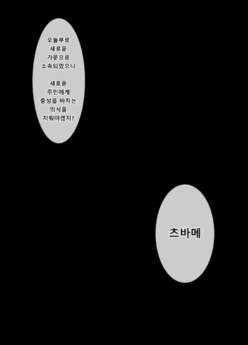 Black Survival Eternal Return - Tsubame, 한국어