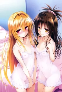 :to love-ru artist:poyo, 日本語