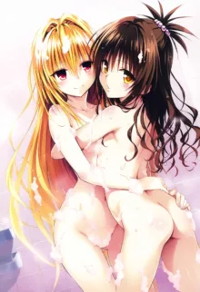 :to love-ru artist:poyo, 日本語