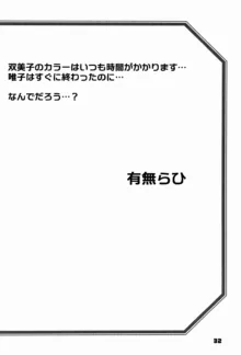 山姫の実 双美子 CONTINUATION 2, 日本語