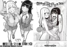 Futago wa Onii-chan ga Osuki & Omoikiri Shita Hou ga Ii wa | 쌍둥이는 오빠를 좋아한다 & 마음껏 하는게 좋을거야 (decensored), 한국어