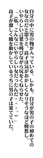 おもちゃの資質, 日本語