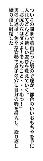 おもちゃの資質, 日本語