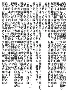 おもちゃの資質, 日本語