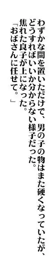 おもちゃの資質, 日本語