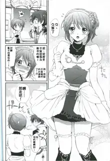 Cheria-chan no Tottemo Hazukashii Hon Junpaku no Reijou Hen, 中文