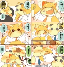 Lesser-kun to Panda-kun 9雷萨君和潘达君 9 个人汉化, 中文