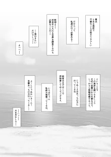 ホロの総集編, 日本語