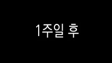 아버지가 아들의 갸루 여자친구를 임신 시키는 이야기, 한국어