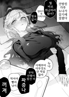 Namaiki na Gal Ane o Ore no Houhou de Wakaraseru Koto ni Shita Hi 1-5, 한국어