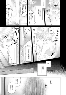 ノラネコ少女との暮らしかた 第1-47話, 日本語