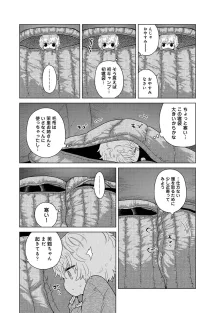 ノラネコ少女との暮らしかた 第1-47話, 日本語