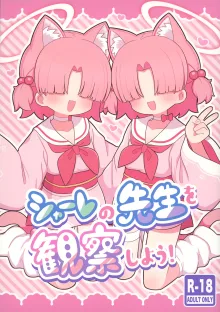 Schale no Sensei o Kansatsu Shiyou! | 一起观察夏莱的老师吧!, 中文