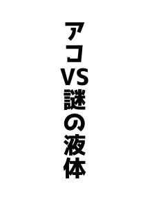 アコパイVS, 日本語