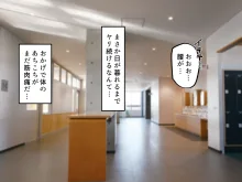 ヤリマンビッチだらけのドスケベ学園, 日本語