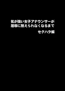 気が強い女子アナウンサーが屈辱に耐えられなくなるまで セクハラ編, 日本語