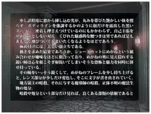 ソーサラーハンター～淫魔法城の虜～, 日本語