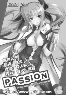 PASSION -karakore 2-, 中文