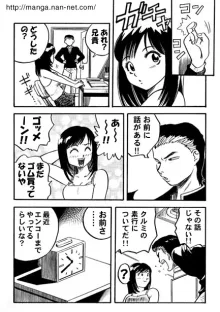 お兄ちゃんの性教育, 日本語