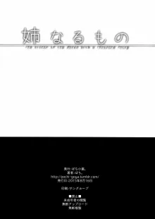 姉なるもの 1-11, 中文