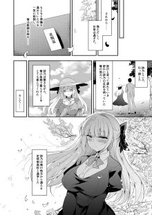 少女回春11完結編＋AFTER, 日本語