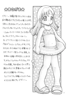 わたしのお兄ちゃん5 えるろんえぞももんが編, 日本語