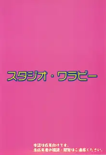 えっちぃのは好きですか？, 日本語