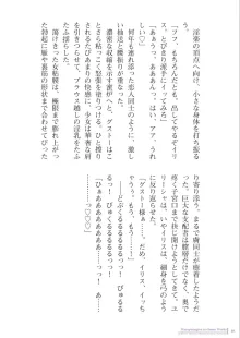 二次元イラスト集 あぶりだしざくろアートワークス, 日本語