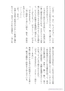 二次元イラスト集 あぶりだしざくろアートワークス, 日本語