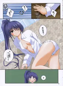 Sister Complex vol.7 乃絵美日記 3, 日本語