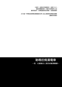 恥辱の痴漢電車総集編, 中文