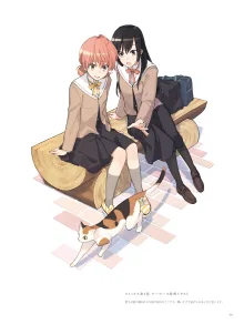 やがて君になる画集 アストロラーベ, 日本語