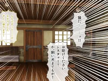 戦うヒロイン敗北! ～身体と心に恥辱の限りを尽くされる～ 総集編, 日本語