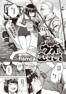 Flanvia 单行本, 中文