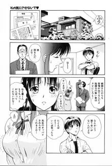 うす紅色の想い, 日本語