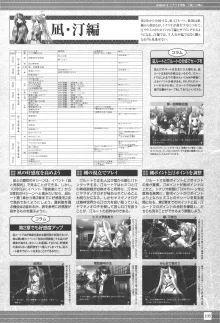 IZUMO 2学園狂想曲ビジュアルコレクション, 日本語