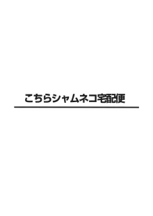 こちらシャムネコ宅配便, 日本語