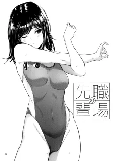 Shokuba no Senpai (decensored), 中文