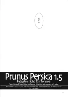 Prunus Persica 1.5, 日本語