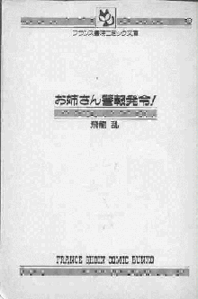 お姉さん警報発令!, 日本語