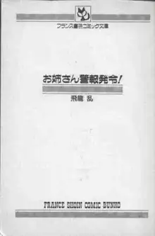 お姉さん警報発令!, 日本語