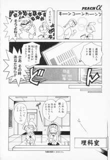 COMIC PEACH α Vol.4, 日本語