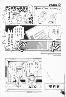 COMIC PEACH α Vol.4, 日本語