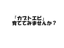 カブトエビ飼育日記～卵からボテ腹産卵まで～, 日本語