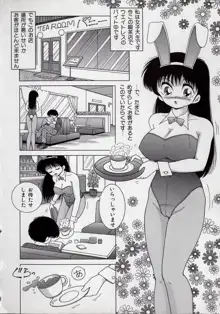 美乳姉妹 屈辱の生贄生活, 日本語