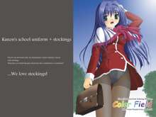 Juicy Fruits Presents Extra number 04 Color Field  Kanon illustration book featuring Stockings., 日本語