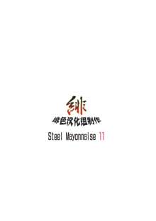 Steel Mayonnaise 11, 中文