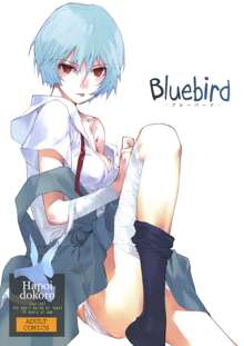 Bluebird, 中文